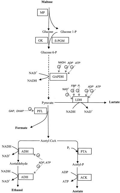 FIG. 4.