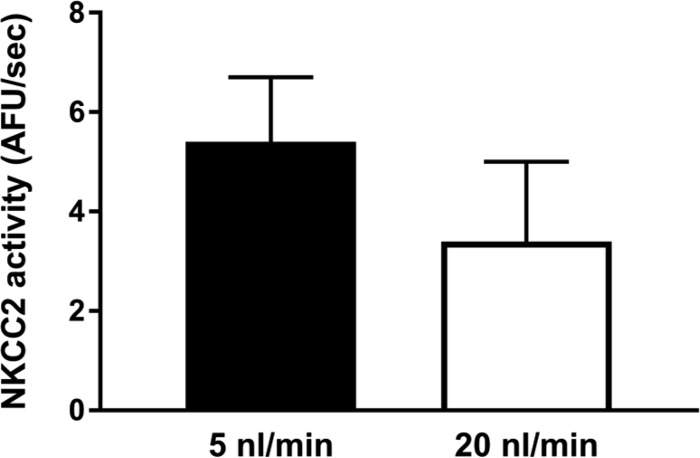 Fig. 8.