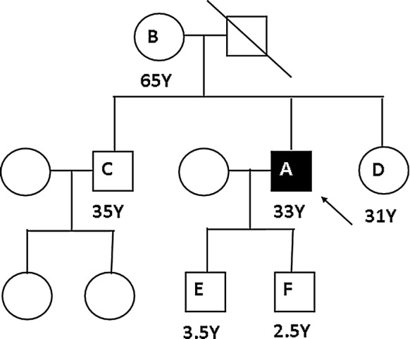 Fig. 2