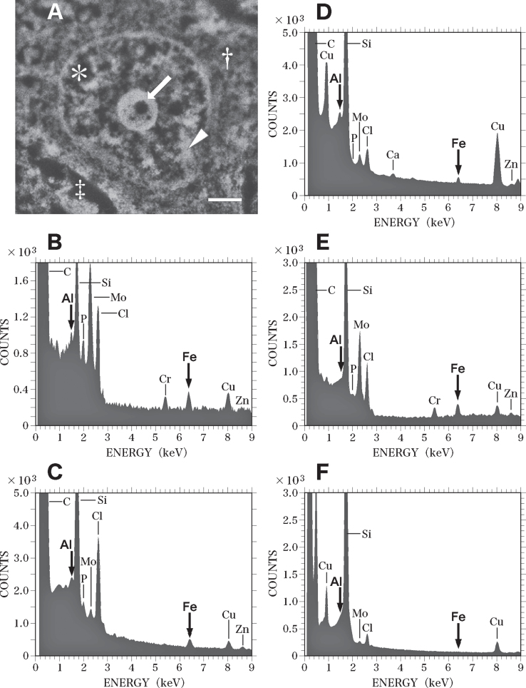 Fig. 6