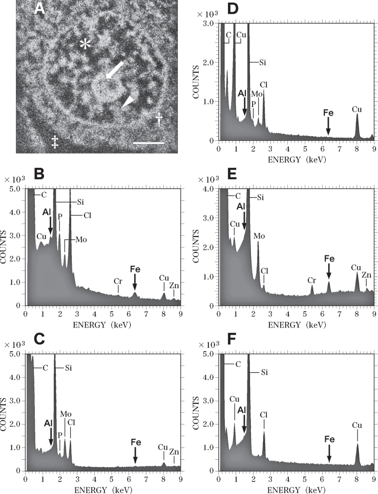 Fig. 8