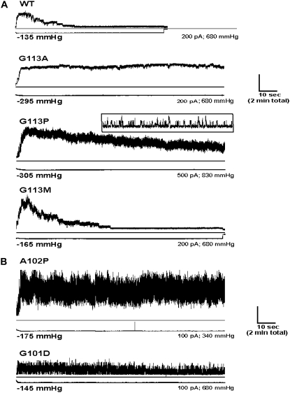 FIGURE 6