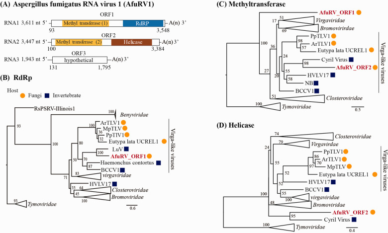 Figure 2.