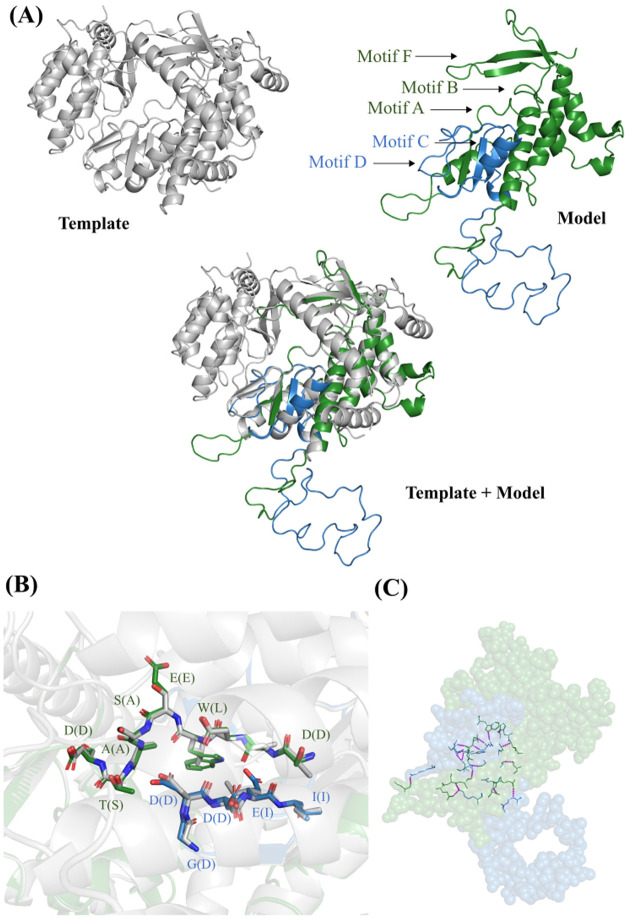 Figure 5.