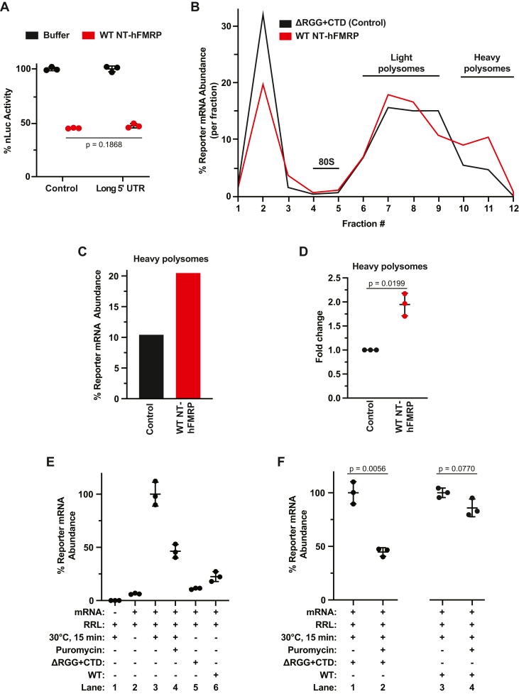 Figure 6