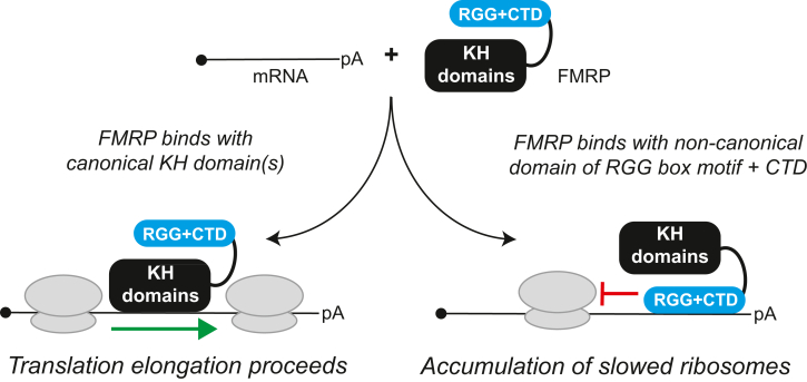 Figure 7