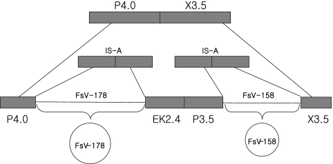 FIG. 6.