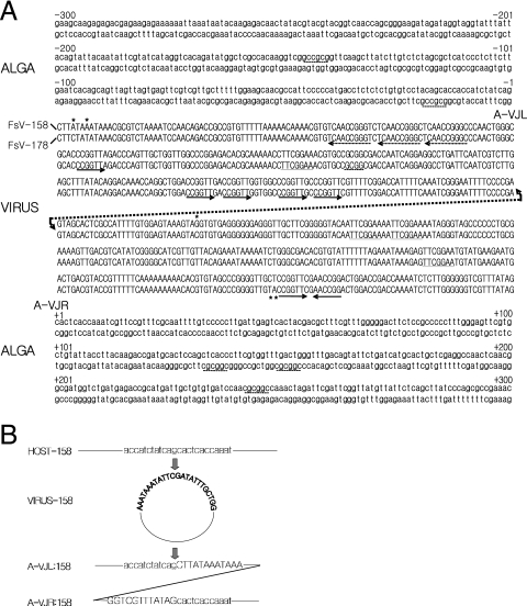 FIG. 4.