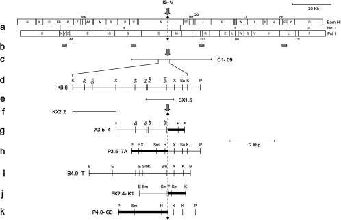 FIG. 2.