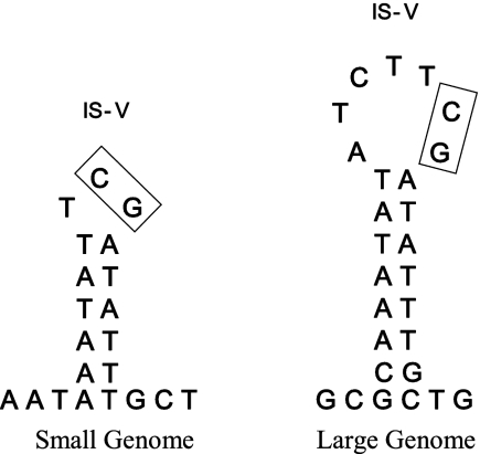 FIG. 5.