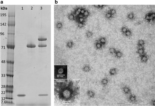 Fig. 2