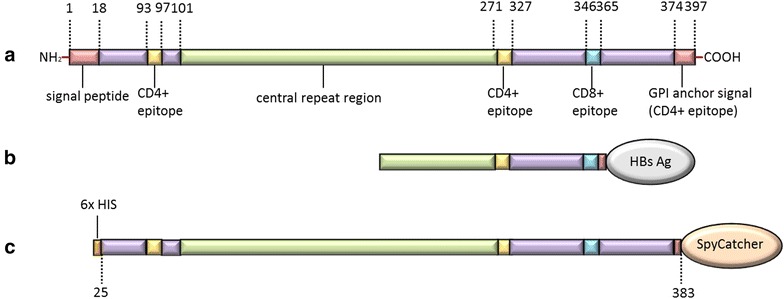 Fig. 1