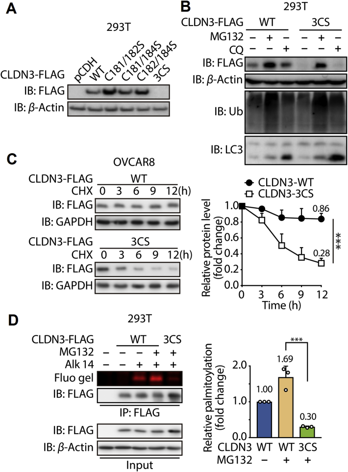 Figure 3