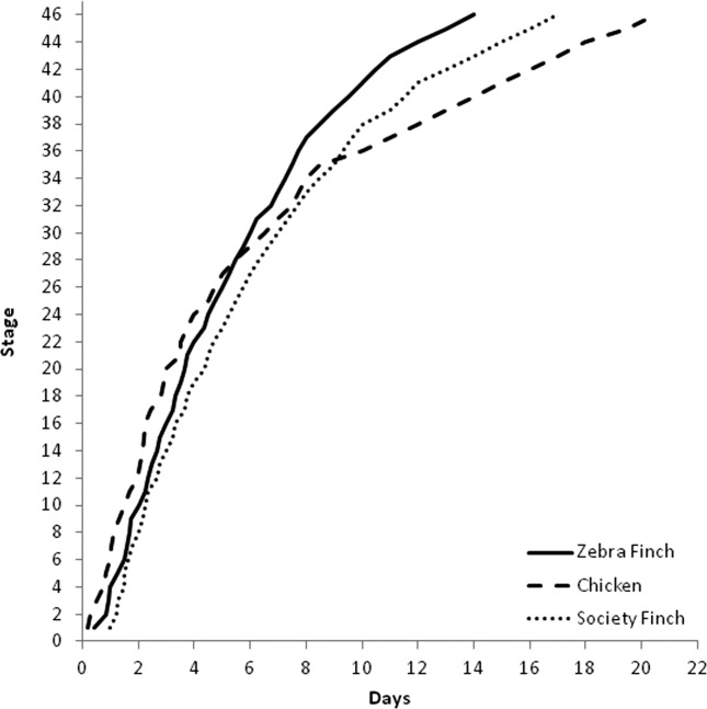 Figure 23