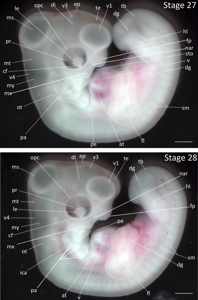 Figure 13