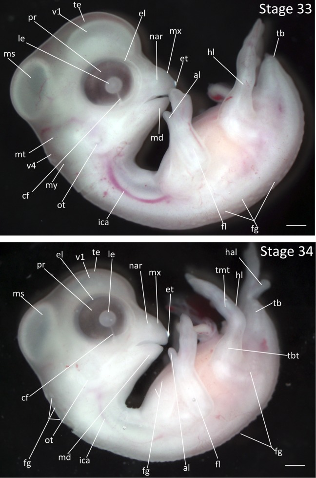 Figure 16