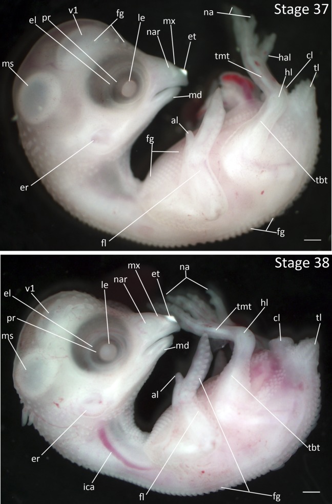 Figure 18