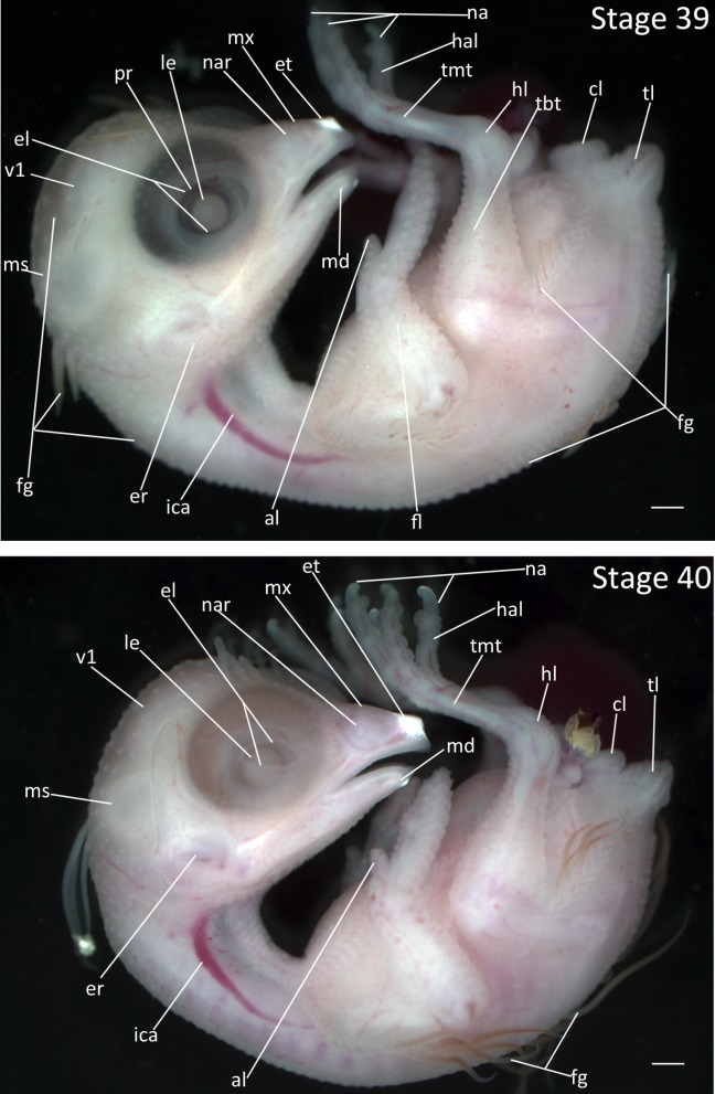 Figure 19