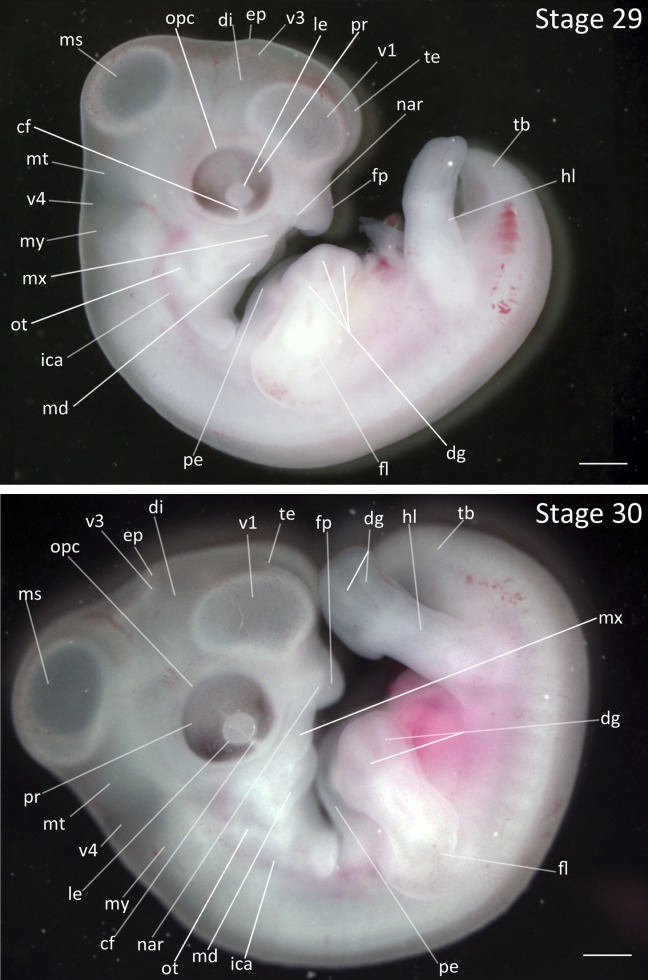 Figure 14