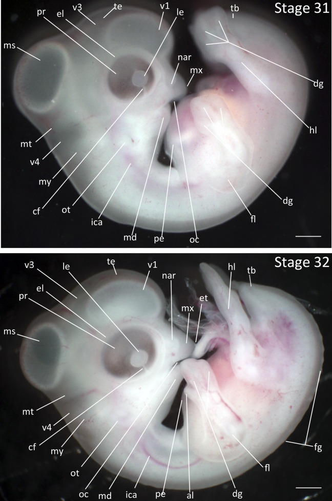 Figure 15