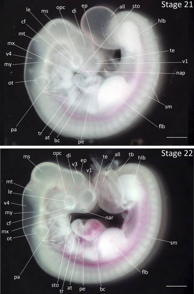 Figure 10