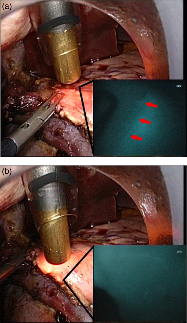 Figure 1: