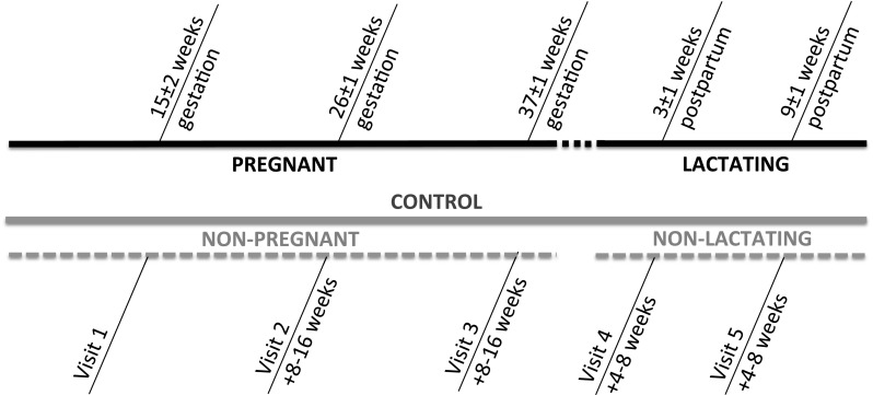 Fig. 1