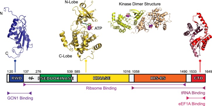 Figure 1.