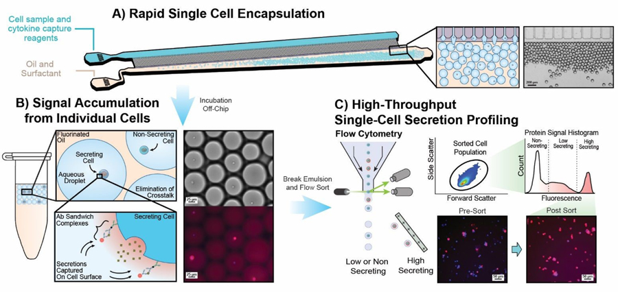 Figure 1: