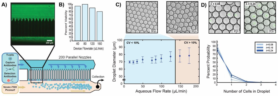 Figure 2: