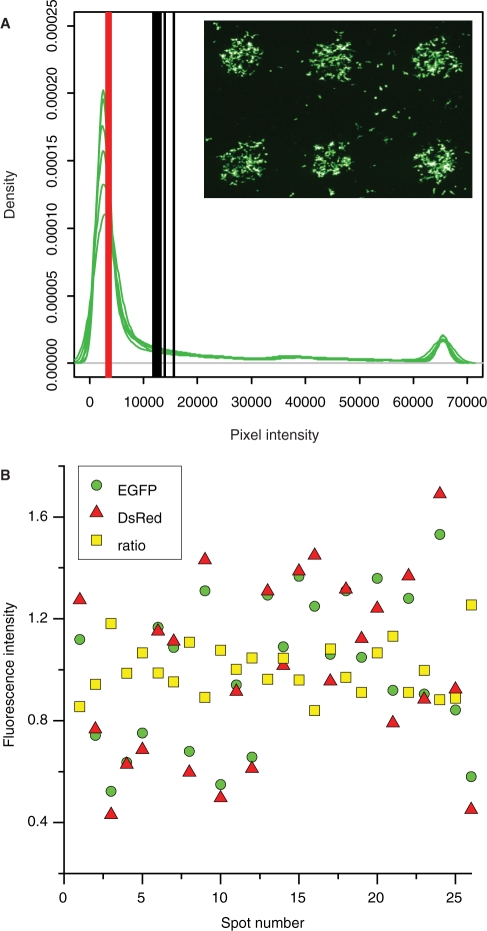 Figure 2.