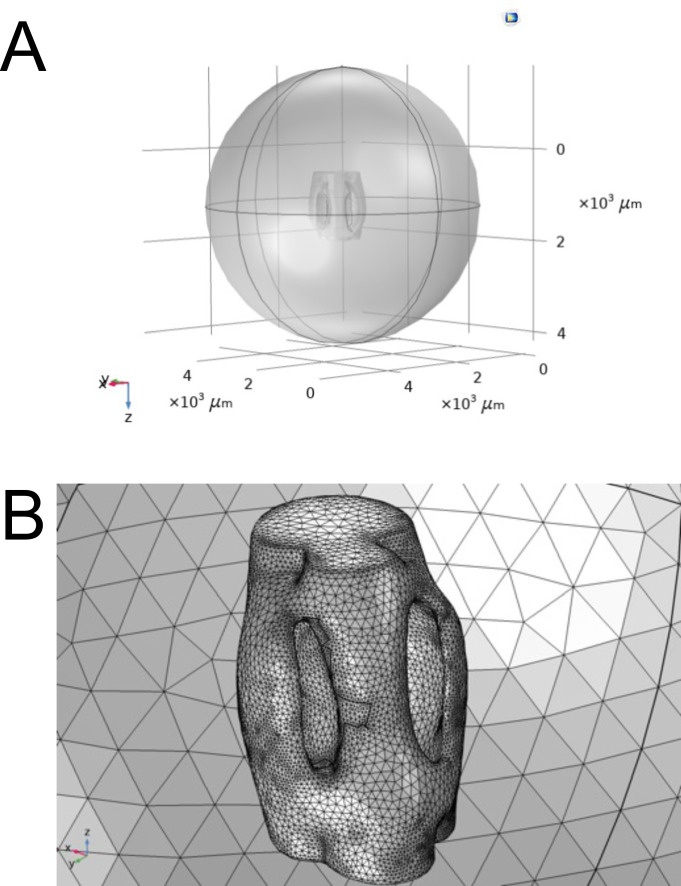 Figure 4—figure supplement 1.