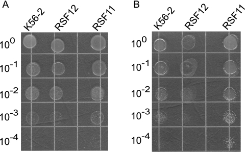 FIG. 2.