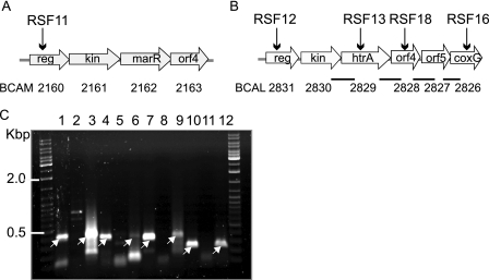 FIG. 1.