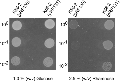 FIG. 9.