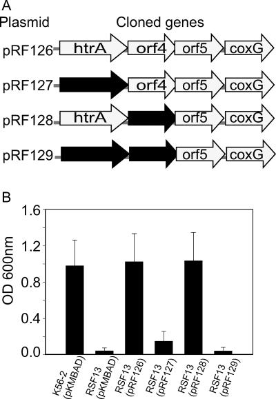 FIG. 6.