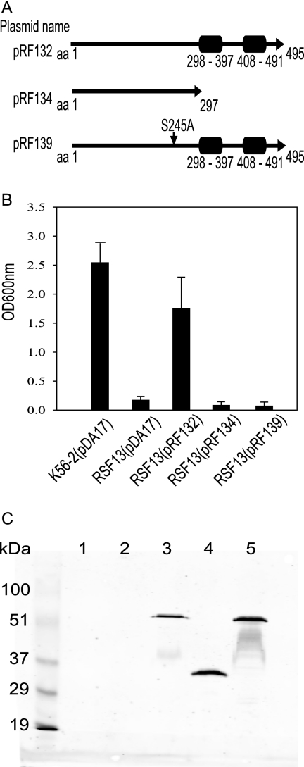 FIG. 8.