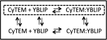 Scheme 1.