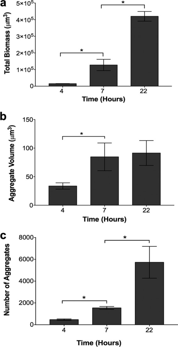 FIG 2 