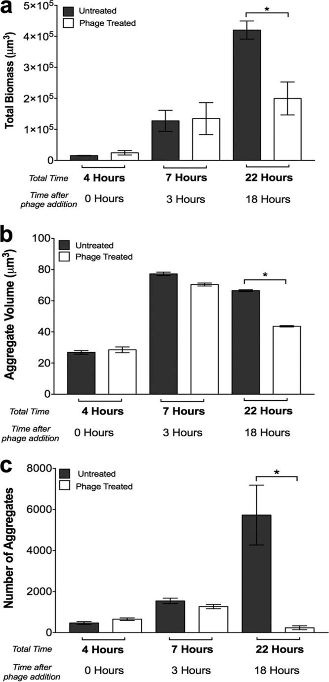 FIG 3 