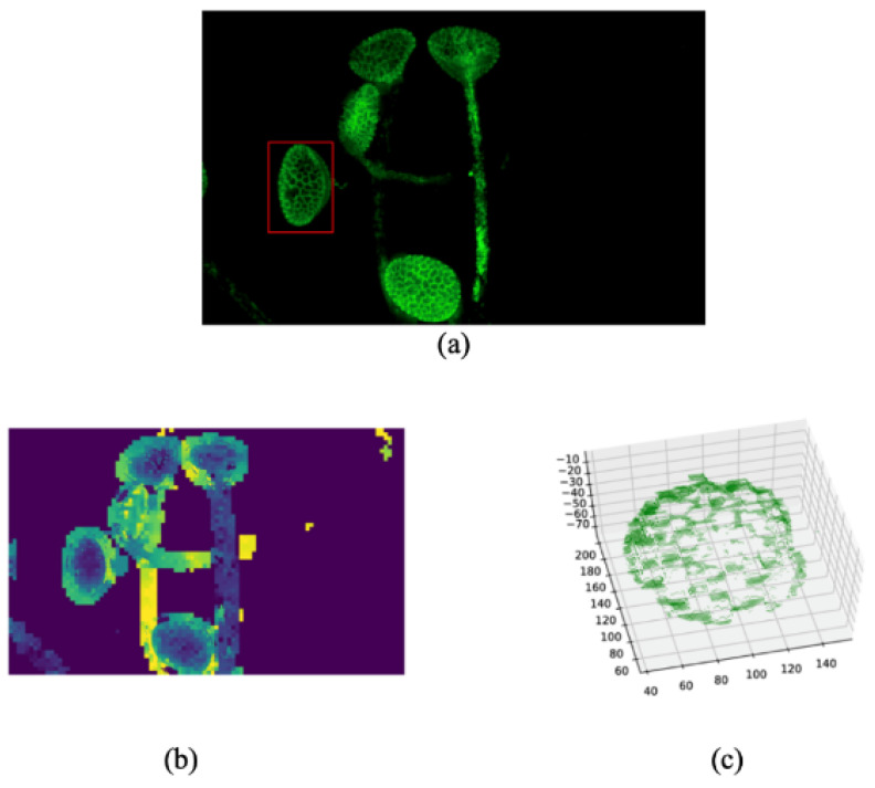 Figure 5