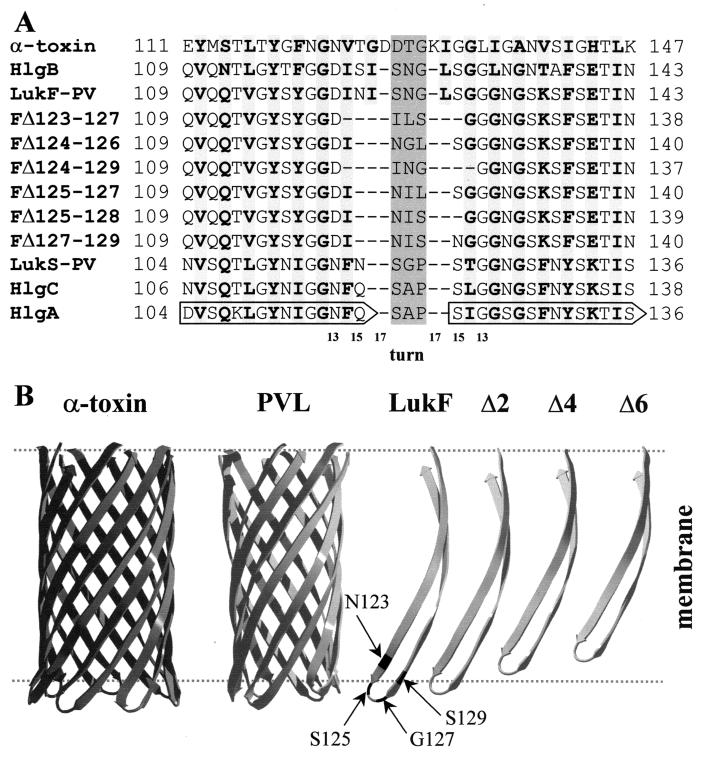 FIG. 5.