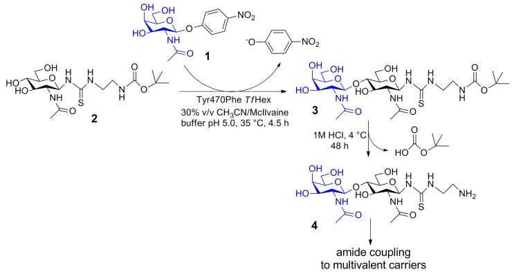 Scheme 1