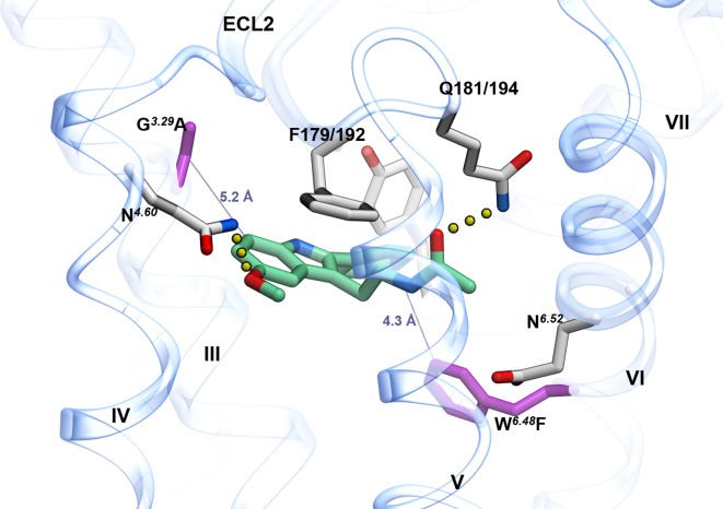 Figure 1—figure supplement 2.