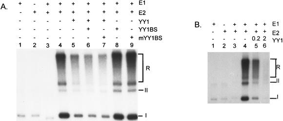 FIG. 5