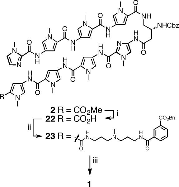 Scheme 4