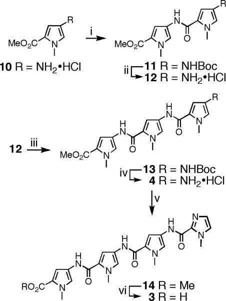 Scheme 1