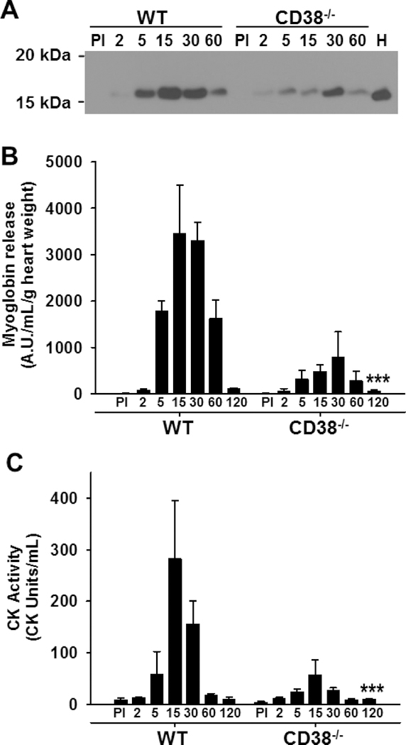 Figure 10.