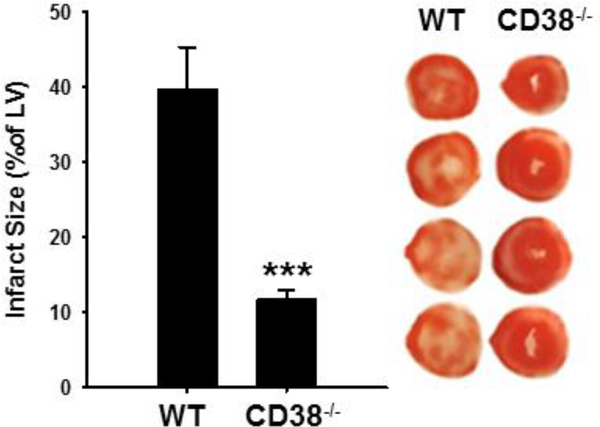 Figure 12.