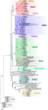 Figure 1—figure supplement 3.